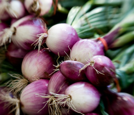 Onions tend to require few pesticides, so don't worry about organic