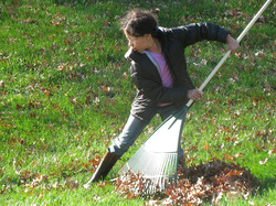 Our Canton Chiropractors see raking leaves cause back pain