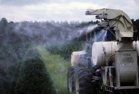 Our canton chiropractors recommend limiting pesticide exposure