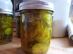 Fermented Foods are healthy | Canton | OH